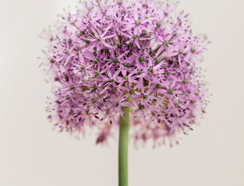 De signalen die je lichaam geeft, neem ze serieus!